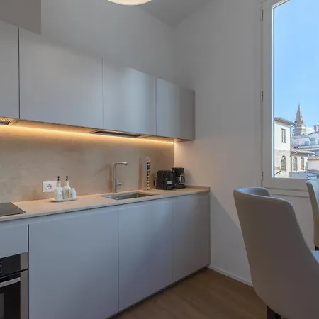 公寓 Dora Penthouse Uffizi View *